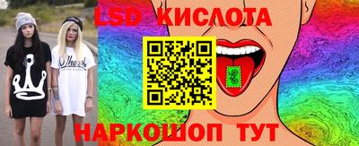 шишки Бийск