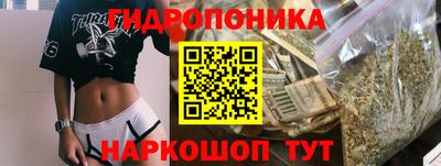 ГАЛЛЮЦИНОГЕННЫЕ ГРИБЫ Ирбит