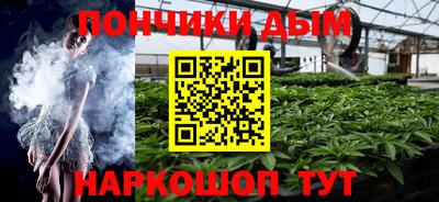 шишки Бийск