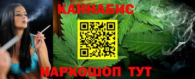 шишки Бийск