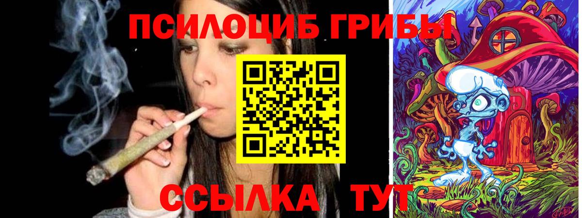 Галлюциногенные грибы мухоморы Ногинск