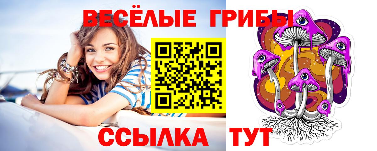 Галлюциногенные грибы мицелий  Псилоцибиновые грибы прущие грибы  наркотики  Ногинск  Вход с VPN 